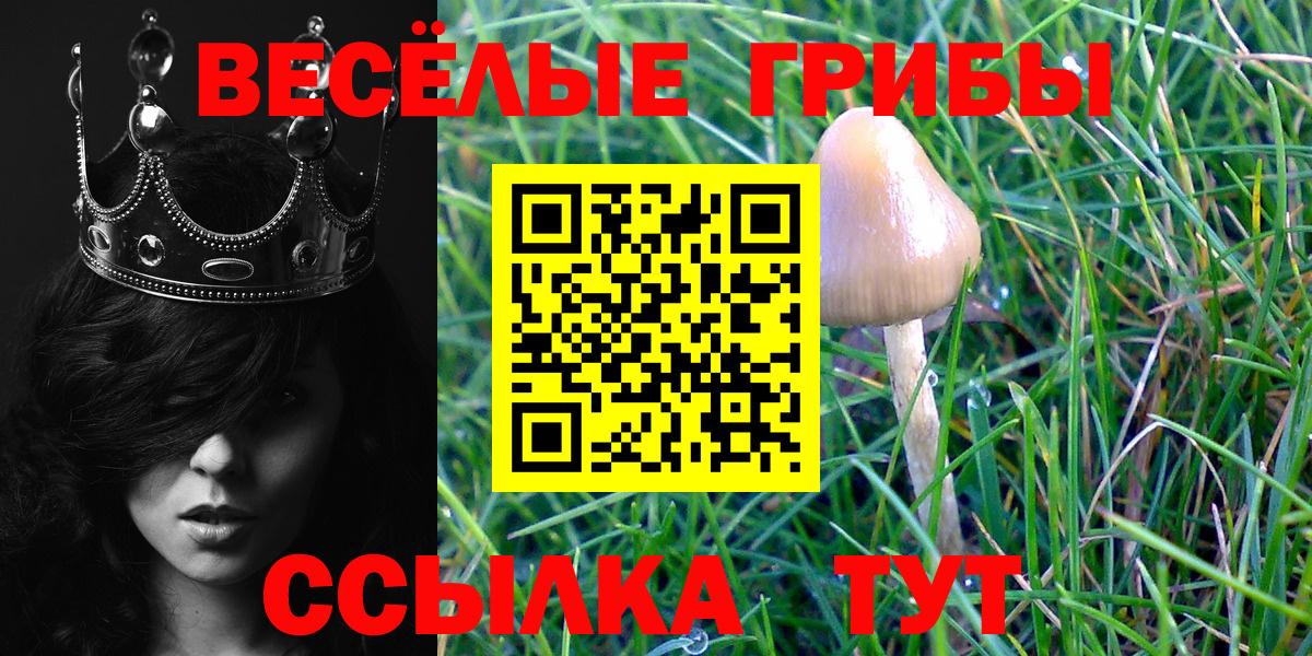 Псилоцибиновые грибы MAGIC MUSHROOMS Россошь