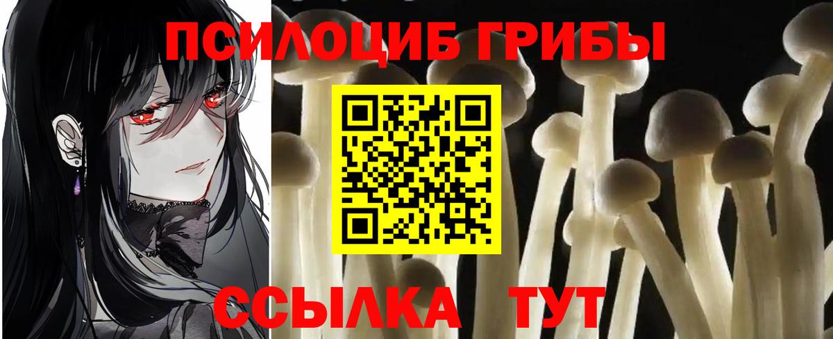 Галлюциногенные грибы Cubensis  Галлюциногенные грибы прущие грибы  Россошь  Вход с VPN 